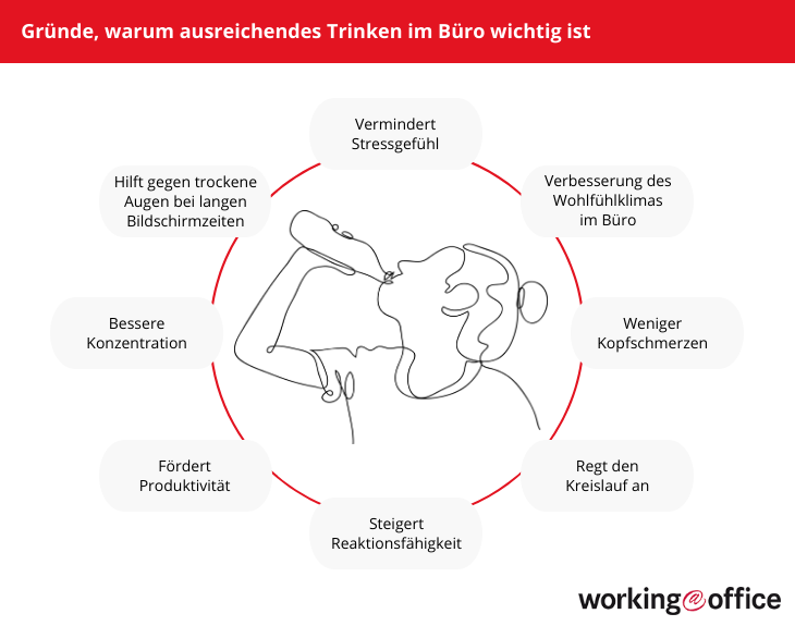 Wieso man viel Wasser trinken sollte