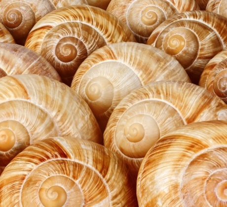 Word Text Schnecke eindrehen, Text in Schneckenform Word