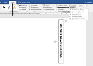 Textfeld beschriften, Text in Word einfügen, Text für Trennstreifen bedrucken erstellen