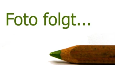 So gehst du richtig mit Bildplatzhaltern um