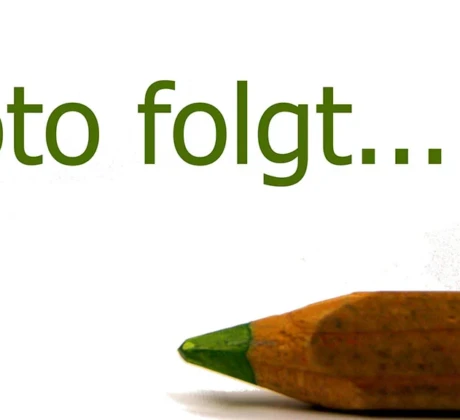 So gehst du richtig mit Bildplatzhaltern um